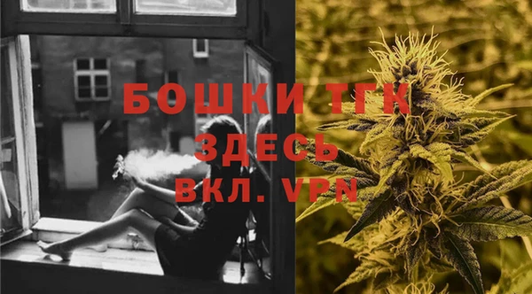 винт Вяземский