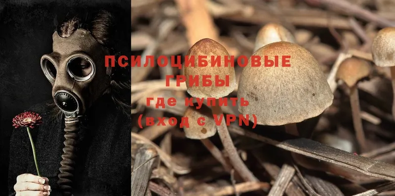 Псилоцибиновые грибы Magic Shrooms  Уржум 